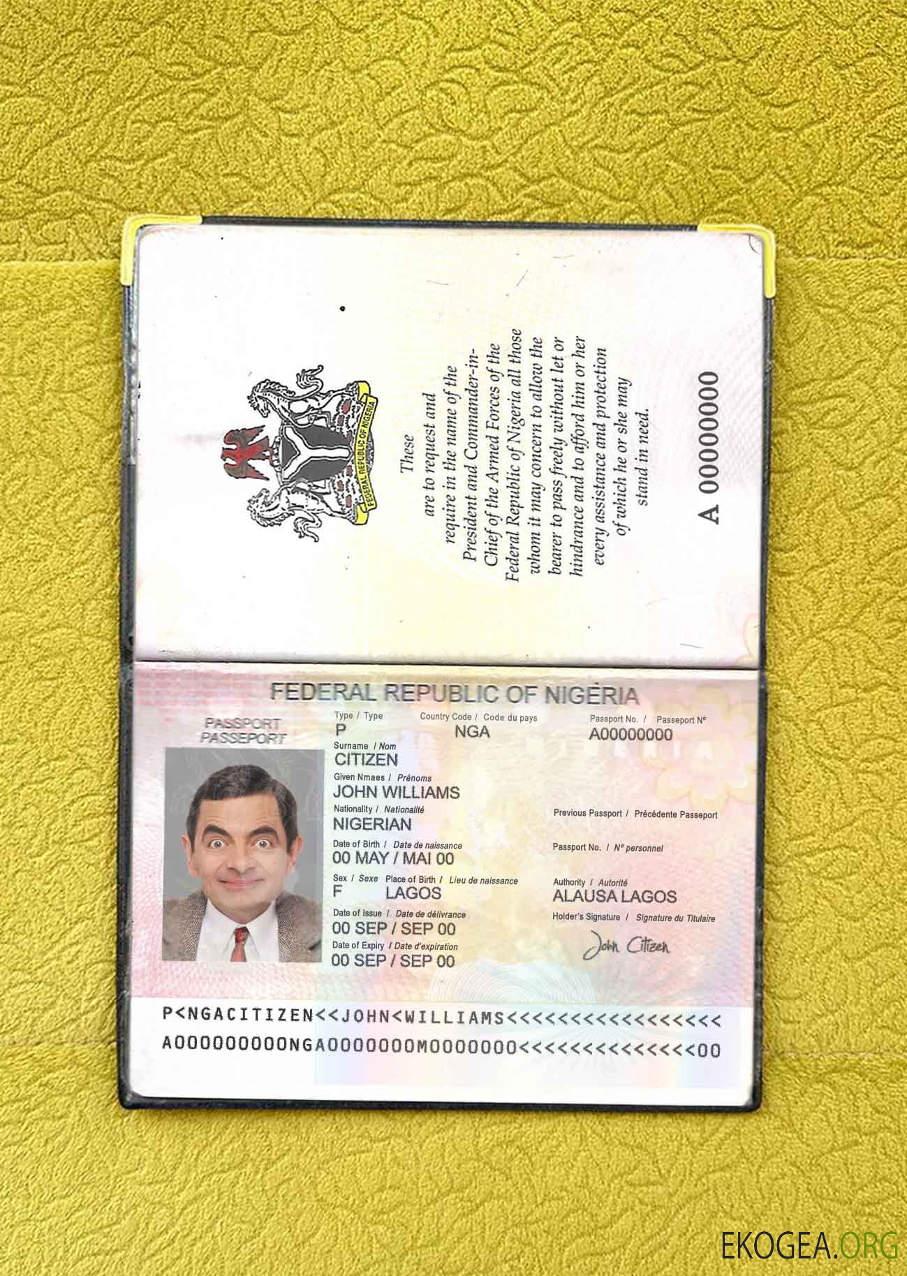 Aperçu photo du passeport nigérian (2007 2019)